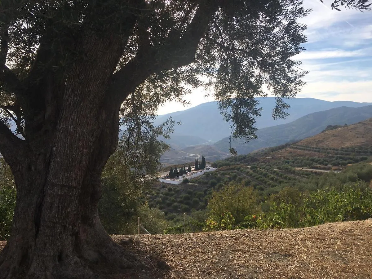 Jardin Andaluz Veleta Apartment Pinos del Valle