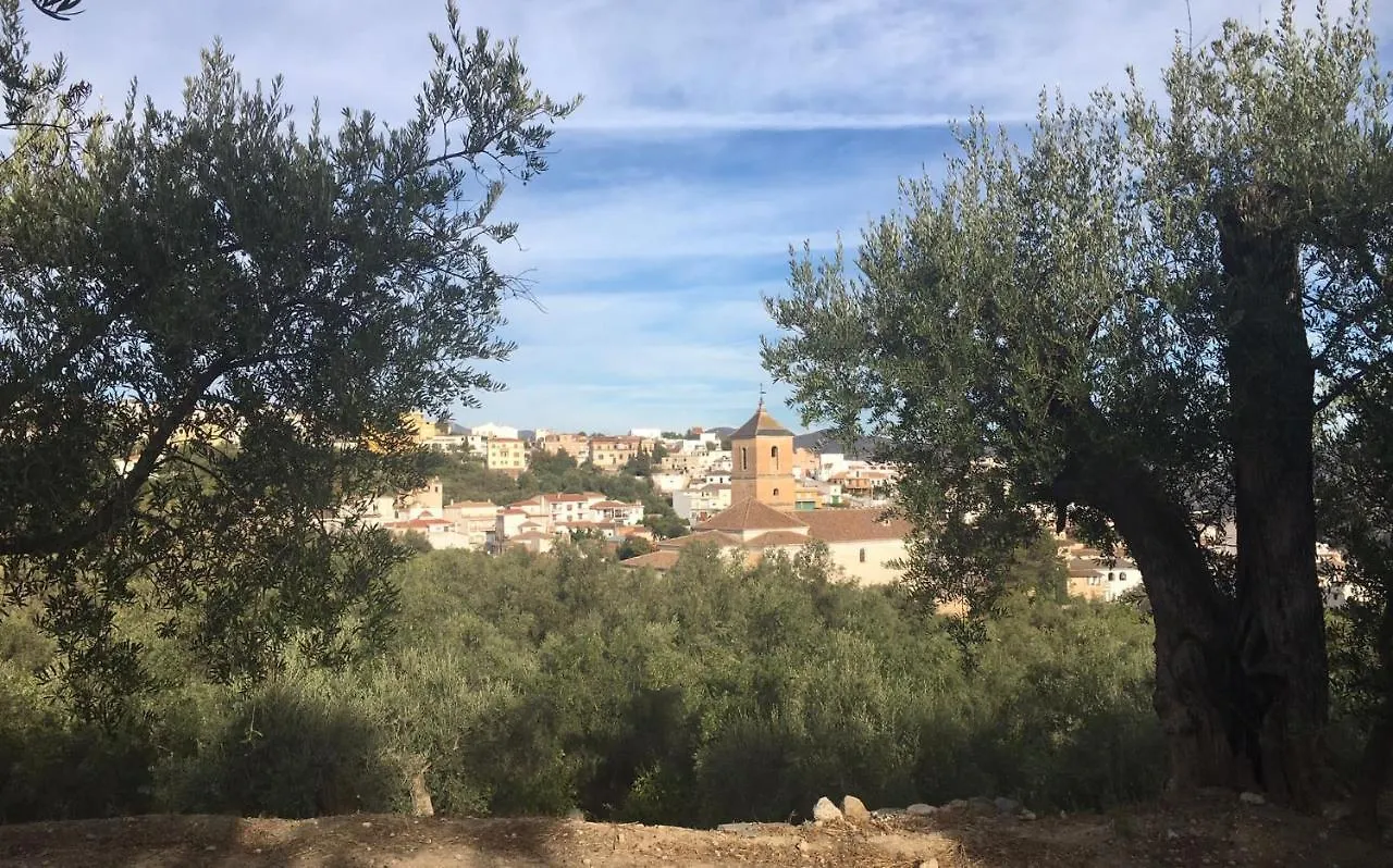 Jardin Andaluz Veleta Apartment Pinos del Valle 0*,  Spain